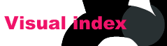 Visual index