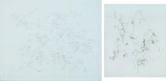 「ラプンツェル」「highland hike」